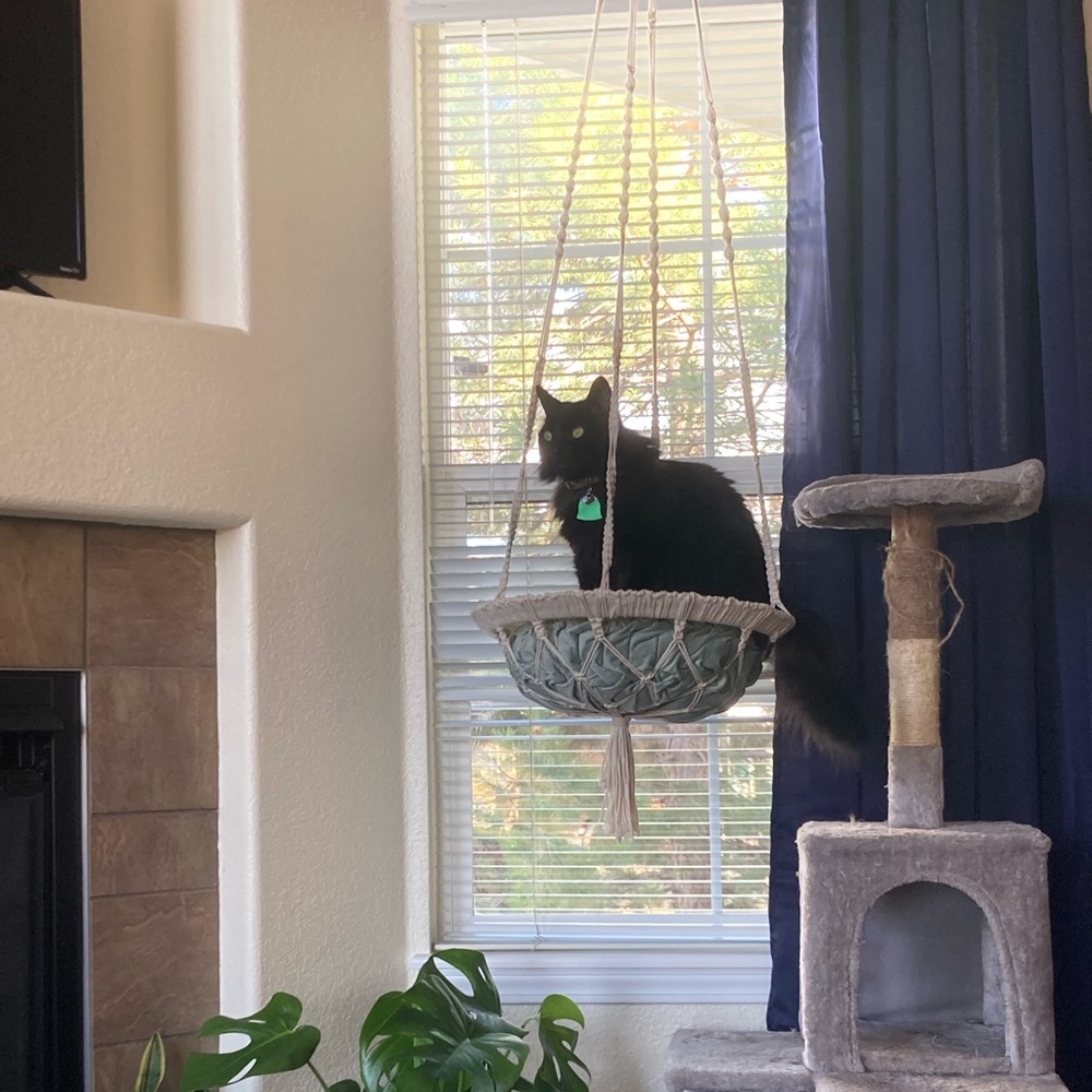 Handmade macrame cat swing